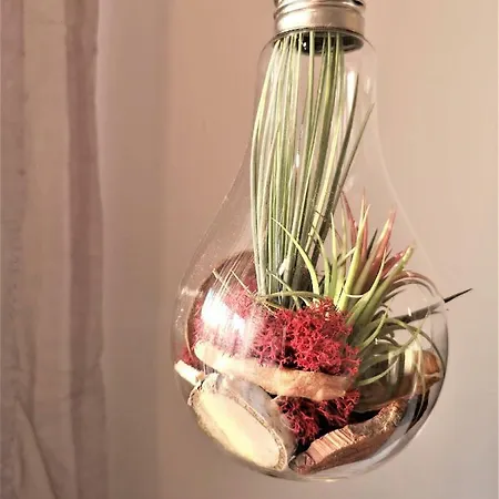 Ruby Globe Apartment Bucharest