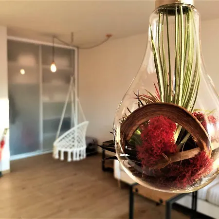 Ruby Globe *